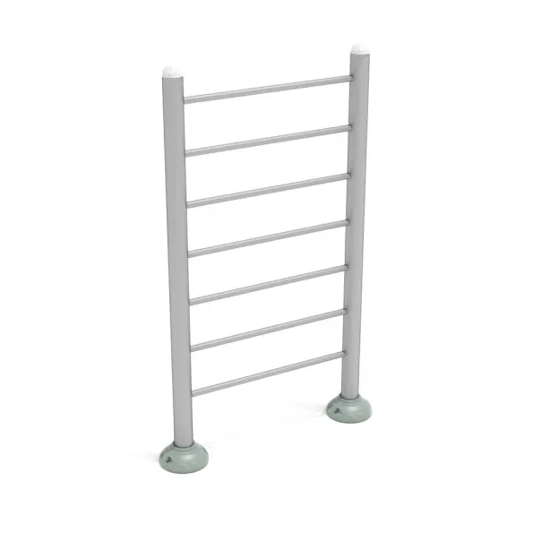 Single Station Vertical Ladder