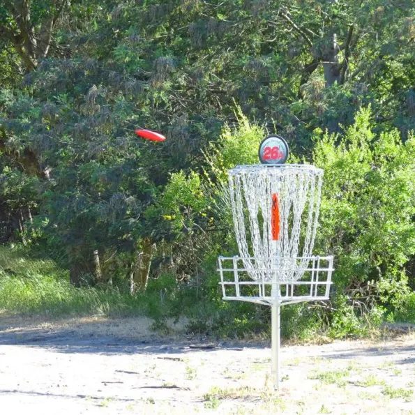Mach X Disc Golf Basket