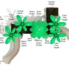 Rockville Spark Structure thumbnail 3