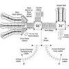 Manhattan Spark Structure thumbnail 20