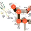 Pantigo Max Structure thumbnail 3