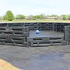 In-Ground Gaga Ball Pit thumbnail 17