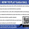 In-Ground Gaga Ball Pit thumbnail 7