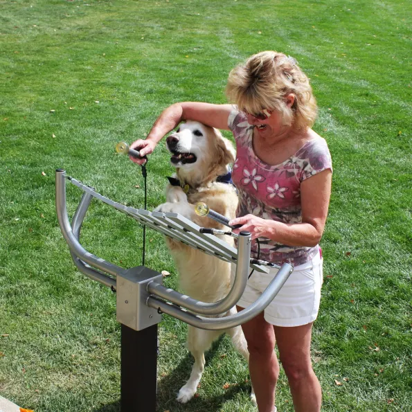 Aria Outdoor Instrument