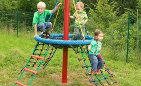 Bird's Nest Mini Treehouse Climber
