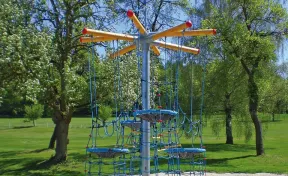 Bird's Nest Tree Climber