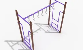 Straight Swinging Ring Ladder