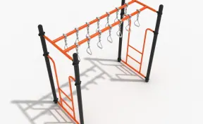 Double Straight Swinging Ring Ladder
