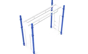 Double Parallel Bar Ladder