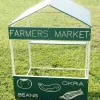 Farmers Market Playhouse thumbnail 1