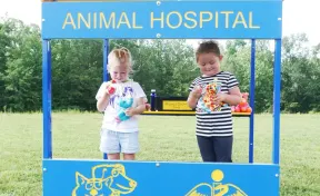Animal Hospital Playhouse