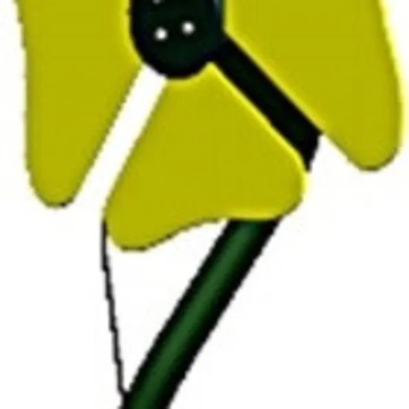 Flower Outdoor Instrument