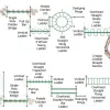 Rotonda Spark Structure thumbnail 3