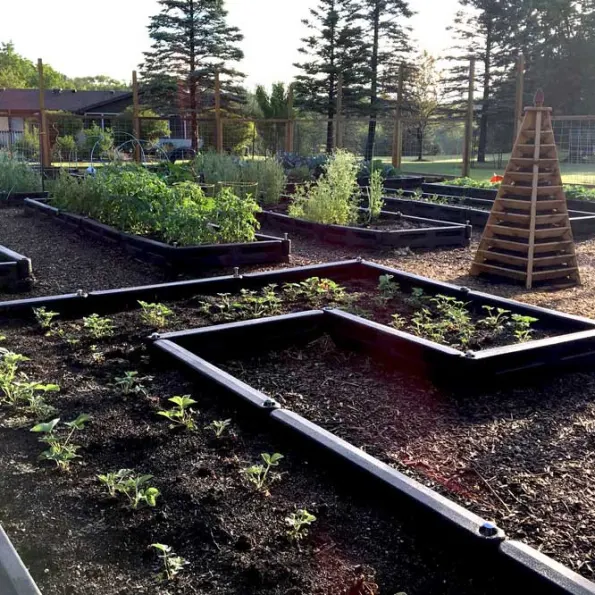 Border Timber Raised Garden Beds with Weed Mat