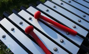 Cadenza Maya Outdoor Instrument
