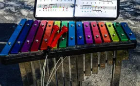 Rainbow Capella Outdoor Instrument