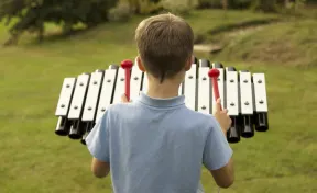 Sansa-Rimba Mysteria Outdoor Instrument