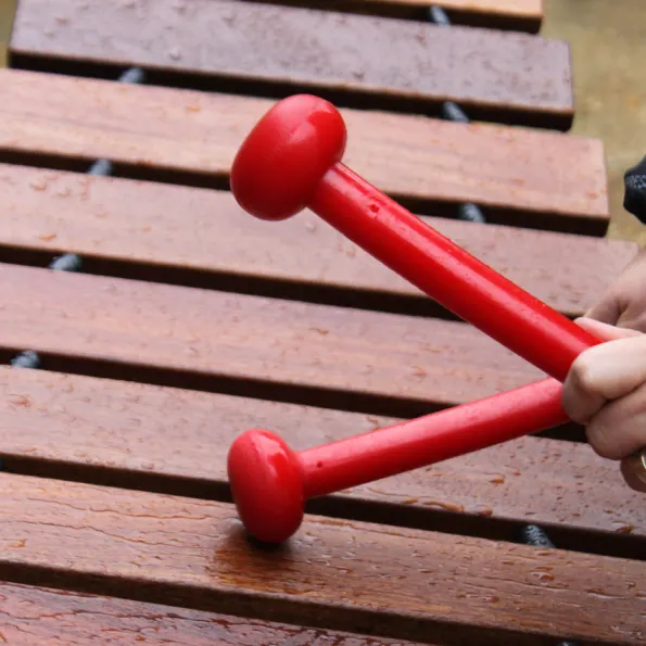 Akadinda Outdoor Instrument