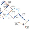 Cedar Slope Get Physical Structure thumbnail 3