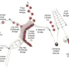 Pine Valley Get Physical Structure thumbnail 3