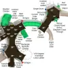 Bonita Bay Max Structure thumbnail 3