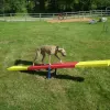 Complete Dog Park Agility System thumbnail 4