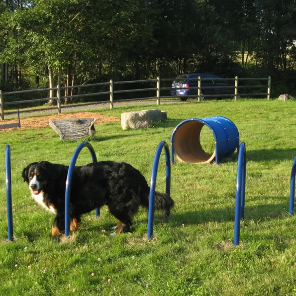 Complete Dog Park Agility System
