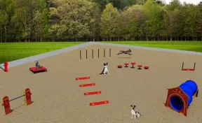 Small Dog Agility System