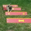 Complete Dog Park Agility System thumbnail 7