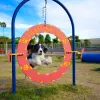 Complete Dog Park Agility System thumbnail 9