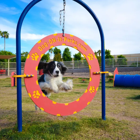 Complete Dog Park Agility System