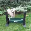 Complete Dog Park Agility System thumbnail 12