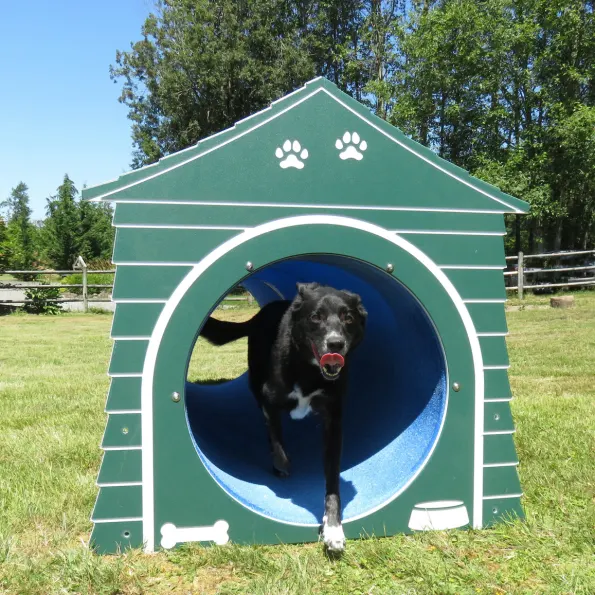 Complete Dog Park Agility System