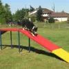 Complete Dog Park Agility System thumbnail 16