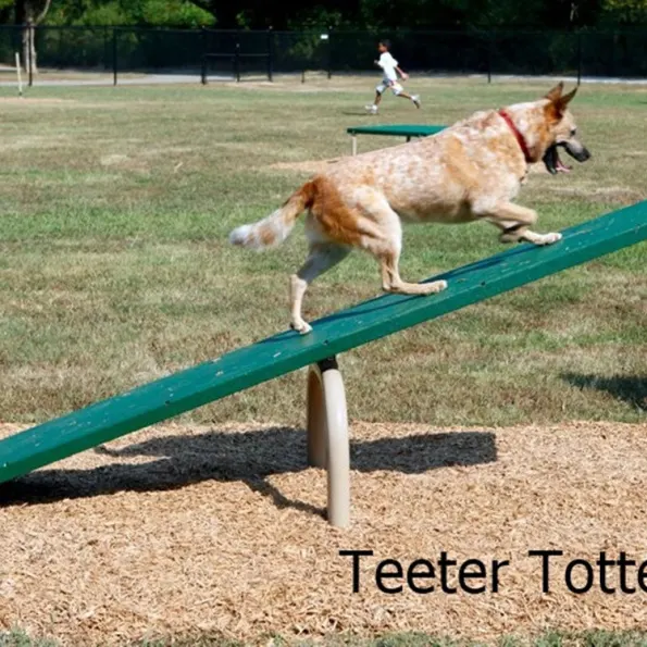 Complete Dog Park Agility System