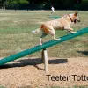 Complete Dog Park Agility System thumbnail 19