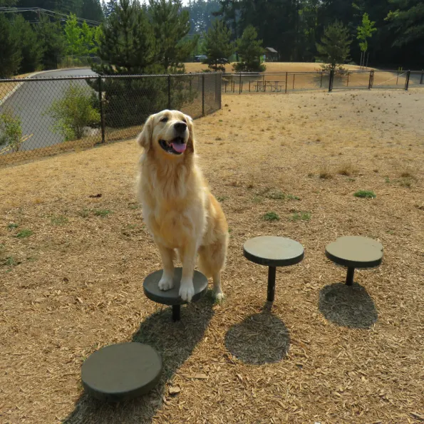 Complete Dog Park Agility System