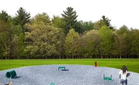 Bronze  Dog Park Agility Package
