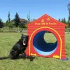 Complete Dog Park Agility System thumbnail 26