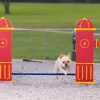 Silver Dog Park Agility Package thumbnail 2