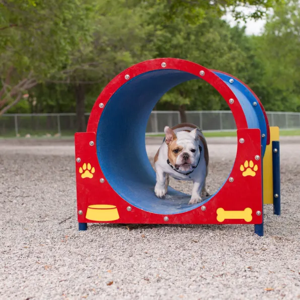 Silver Dog Park Agility Package