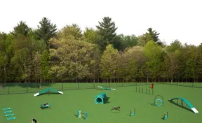 Complete Dog Park Agility System