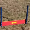 Silver Dog Park Agility Package thumbnail 4