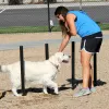 Silver Dog Park Agility Package thumbnail 5