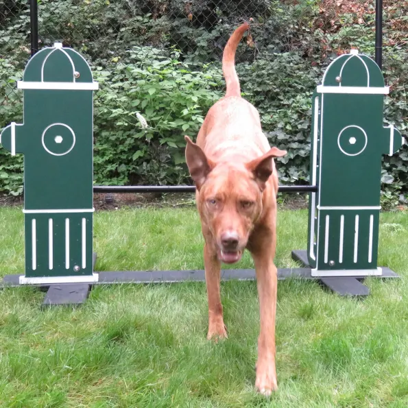 Silver Dog Park Agility Package