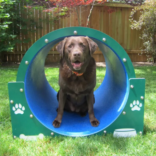Silver Dog Park Agility Package