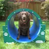 Silver Dog Park Agility Package thumbnail 9