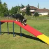 Silver Dog Park Agility Package thumbnail 10