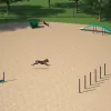Silver Dog Park Agility Package thumbnail 12