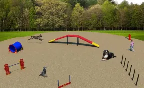 Silver Dog Park Agility Package